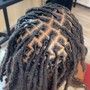 Starter Locs (2 Strand Twist)