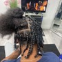 Two Strand twist or box braids (natural hair only)