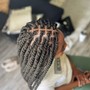 Knotless Braids Touch-up