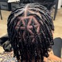 Starter Locs (2 Strand Twist)