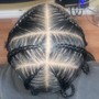 Two Strand Twist