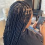 Starter Locs (2 Strand Twist)