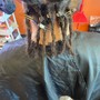 Loc Reconstruction ( Full Head)