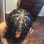 Starter locs