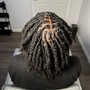 Roots Touch-Up ( GRAY COVERAGE ONLY )