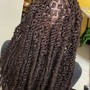 Passion Twist Over Locs