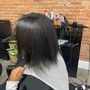 Root Touch Up