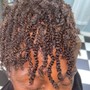 Natural Twists