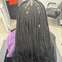 Small Knotless/ Box Braids (Mid back)-Hair Included