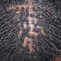 Men Braids/ Locs