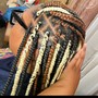 Fulani Braids Touch Up