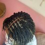 Loc retwist