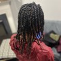 Loc Re-twist & Feed- In BRAID Loc Style