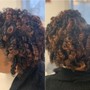 Root Touch Up