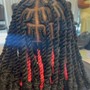 Extended Twist over Locs