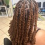 Extended Twist over Locs