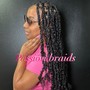 2 Strand Twists/Plaits