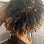 Comb Twist