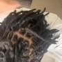 Starter Locs