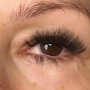 Eyelash Extension Classic Fill