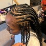 Comb Twist (starter locs