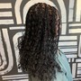 Braiding Hair Custom Color Blend