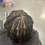 Starter Locs