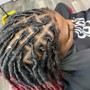 Starter Locs