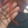 Locs Repair Crochet Method