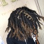 Adult Retwist (faded)