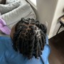 Starter Locs ( Short Length )