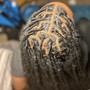 Adult Loc Re-twist