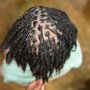 Adult Starter Locs