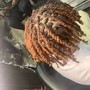 Highlights on locs