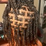 Loc Retwist (100+ locs)