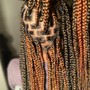 Natural Twists & Braids (no hair added)