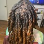 Small Starter Locs