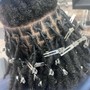 Loc Retwist