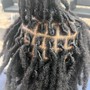 Loc Retwist