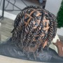 Passion Twist (bob length)