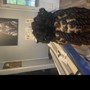 2-strand Twists/Natural Box braids