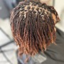 Loc PALM ROLL Retwist & Complex Style