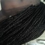 Poetic Justice Braids