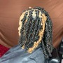 STARTER LOCS (medium/large)