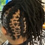 Kid's Braids/loc style  10 and under