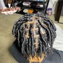 Starter Locs