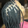 Box Braids (no hair added)