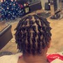 Comb Twist/Starter Locs