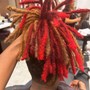 Loc retwist