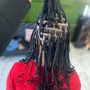 Stitch Braids w/ Quickweave